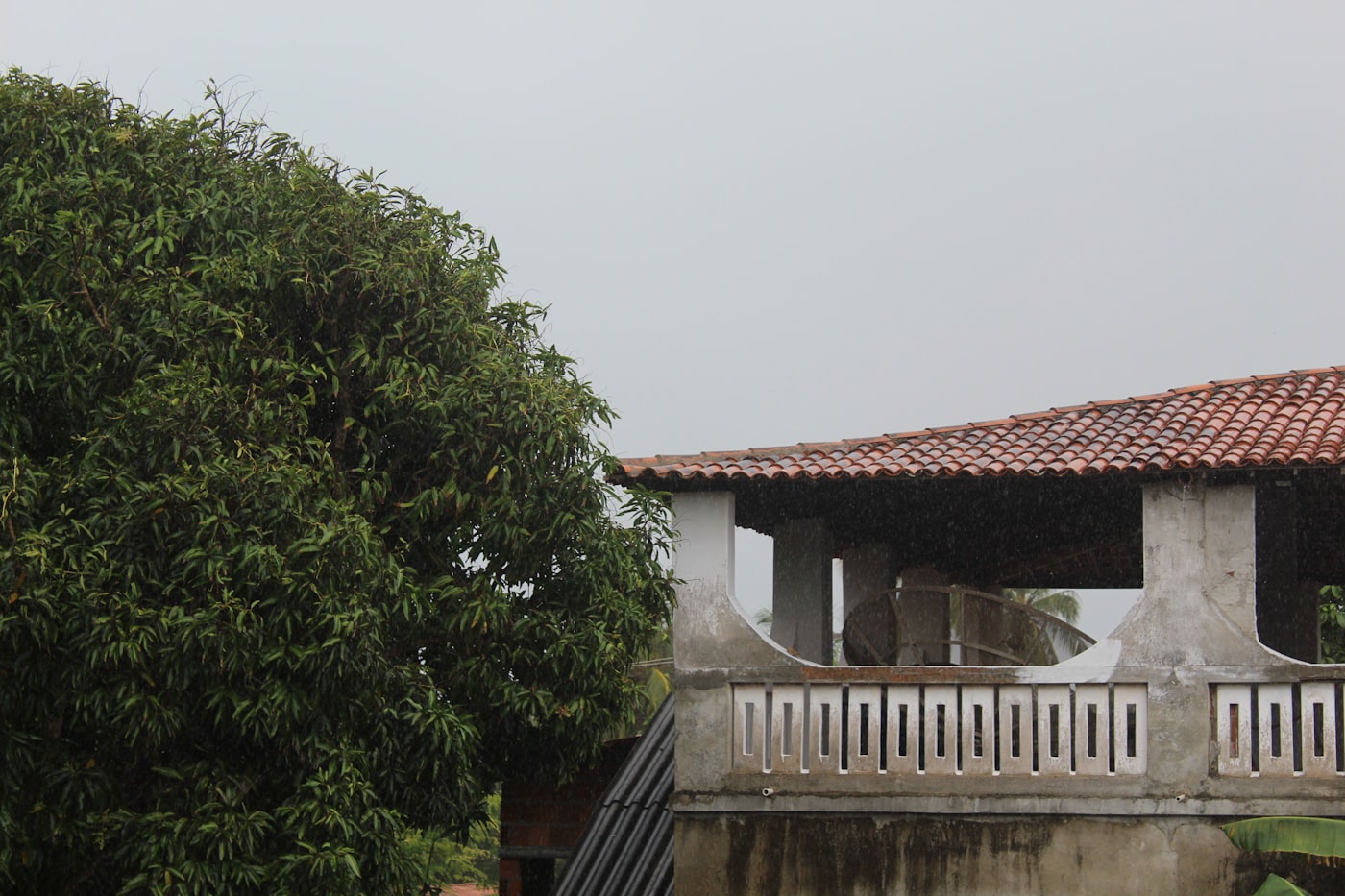 Tropical afternoon rain over a tile-roofed house